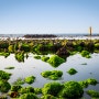 4월제주도여행 -초록이끼가 가득한 제주도바다 이호테우해변