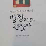 법륜스님 - 방황해도 괜찮아 / 사회초년생 / 20대30대 추천도서 / 청춘추천도서