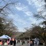 렛츠런파크 벚꽃 없는 벚꽃축제 다녀온 후기 1탄