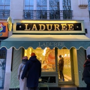 프랑스 파리 여행 마카롱 맛집 LADUREE 라뒤레 마레지구 방문 후기