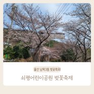 울산 벚꽃축제 쇠평어린이공원 동구 남목 3동 벚꽃축제