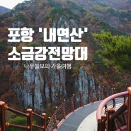 포항 내연산 '소금강 전망대' - 나무늘보의 포항 여행