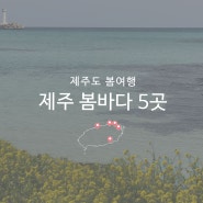 제주도 봄여행 해수욕장 바다 가볼만한곳 5곳