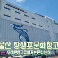 울산 남구 가볼만한곳 장생포 문화창고 폴세잔 미디어아트