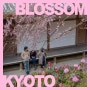 일본교토여행:) 벚꽃 흩날리던 봄날, 교토의 추억. 교토벚꽃 개화시기는?