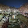 2024 울산 궁거랑 벚꽃축제 ㅡ 무거천 벚꽃 힐링 야경 ㅎㅎㅎ