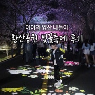 양산 황산공원 벚꽃축제 후기