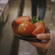 즉흥채소클럽 :: 떼루아 특집 ‘대저토마토, 세발나물’