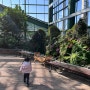 귀여운 식물원이있는 청라생태공원 - 21개월 아기랑 갈만한 곳