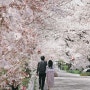 4월 벚꽃 축제 신나게 즐겨 보아요~