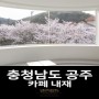[충청남도 공주] 카페 내재 - 벚꽃 맛집