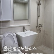 부산경남타일시공팀, 울산 협성노블리스 셀프욕실리모델링 현장.