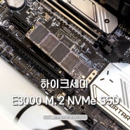하이크세미 E3000 M.2 NVMe 512G SSD 리뷰