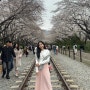 2024 진해 군항제 벚꽃축제 경화역 / 여좌천 로망스다리 / 진해 호텔 포마