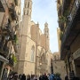 우리가족 유럽여행 바르셀로나 5 - 드루니 프리모 라치나타 비니투스 기념품 사기