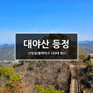 [경북/문경] 대야산 등산코스(주차장 - 용추계곡 - 월영대 - 밀재)