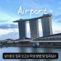 싱가포르 입국신고서 SG카드 여행 전 온라인 신청 방법 가족 동행