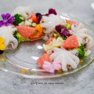 4월 제철 해산물 쭈꾸미요리 세비체 예쁜 손님초대요리 음식