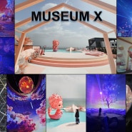 속초 뮤지엄엑스(MUSEUM X) - 미디어아트가 만들어내는 환상적인 공간!!