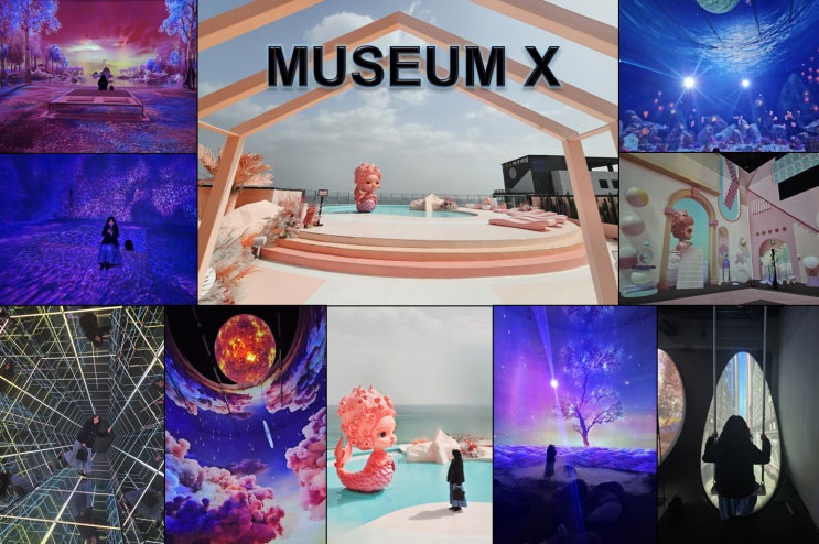 museum-x