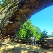 미국 켄터키주 렉싱턴 여행 Natural bridge state park