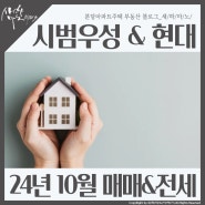 분당 선도지구 시범단지2구역 _ 시범우성 시범현대 매매 전세 시세