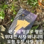 청소년 장편소설 푸른 사자 와니니 일곱번째 이야기 인간의 길에서 책리뷰