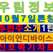 우림정보 전문가 론칭전 추천주 소개 1탄 - 아이언디바이스 +18.61%, +18.54%