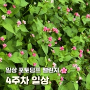 일상 포토덤프 챌린지 9월 넷째 주 기록