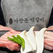 분당 맛집 정자역 회식 장소 추천 마장돈 백갈비