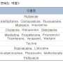 [표] 카페인에 의해 대사가 지연되는 약물 #기성환