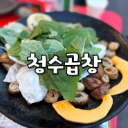 고잔동 곱창 맛집 청수곱창 후기 고잔동야장 분위기