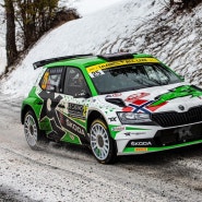 WRC2 스코다 파비아