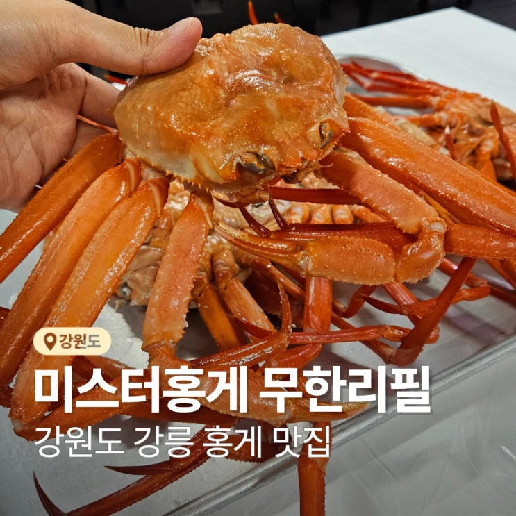 강릉 홍게 맛집 붉은 대게 무한리필 미스터홍게 : 네이버 블로그