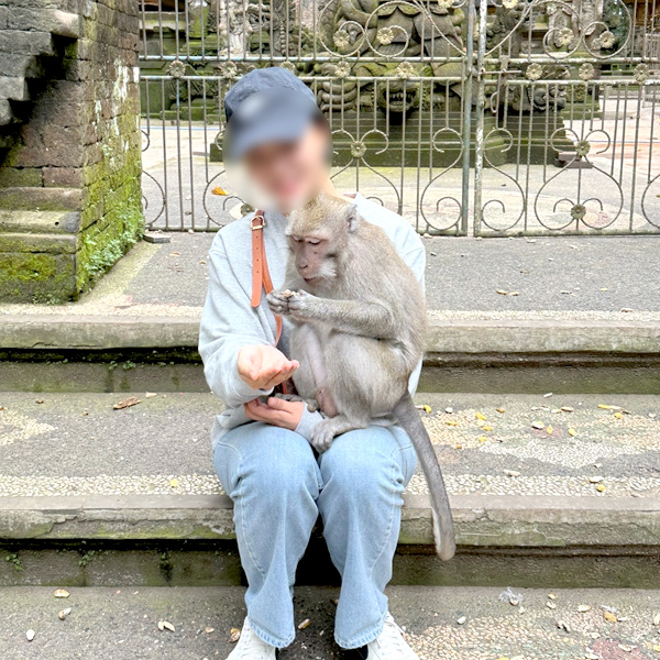 [발리] 우붓 상에 몽키 포레스트 원숭이 물림 사고 후기 | 몽키 셀카 ....