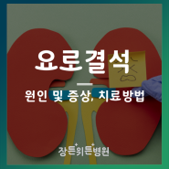 요로결석 원인과 증상 및 치료방법