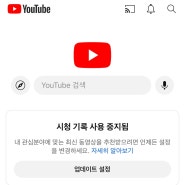 인스타, 유튜브 대신 하는 것