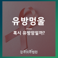 유방 멍울, 혹시 암일까? 초기 증상과 검진의 중요성