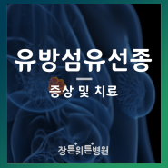 유방섬유선종이란? 증상 및 치료