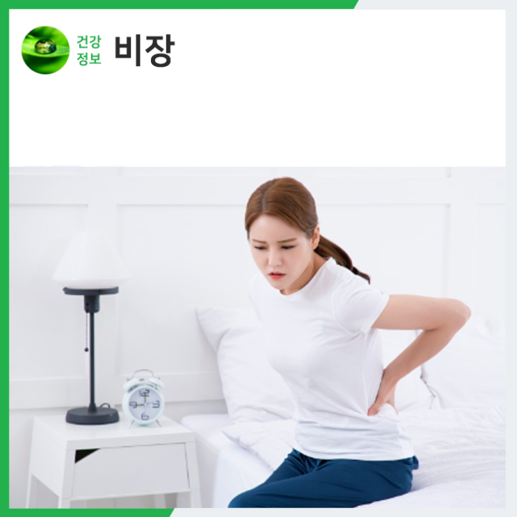 비장 위치 기능 비장비대증 원인 증상 : 네이버 블로그