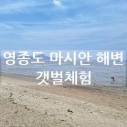 25개월 아기 갯벌체험 _ 영종도 마시안 해변