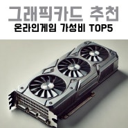 온라인게임 최적화 가성비 컴퓨터 그래픽카드 추천 TOP5