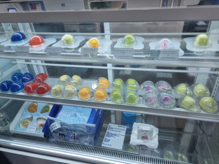 카페 물 연동점 제주도 물젤리 제주 핫플 예쁜 먹거리 : 네이버 블로그