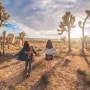 LA여행 Joshua Tree National Park에서 스냅찍기 1/2