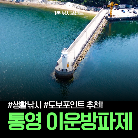 통영 볼락 호래기 풀치 감성돔, 생활 낚시 도보포인트 추천~! : 네이버 블로그