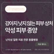 [24시 연희동물의료센터] 강아지 외음부 피부암, 생식기 성형술, 암 수술 / 인천 연수구 24시 동물병원