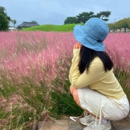 경주 가볼만한곳 첨성대 핑크뮬리 실시간 꽃명소 경주여행 주차장