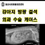 [일산 방광결석 수술] 강아지가 갑자기 혈뇨를 보고 소변 보는 것을 불편해해요. 강아지 방광결석 수술 케이스 [24시 일산시티동물의료센터]