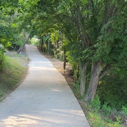 영월 가볼만한곳 요선함 돌개구멍 볼만합니다