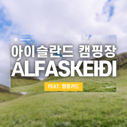 [아이슬란드 여름 캠핑 여행] ⛺️캠핑장 Álfaskeið campground